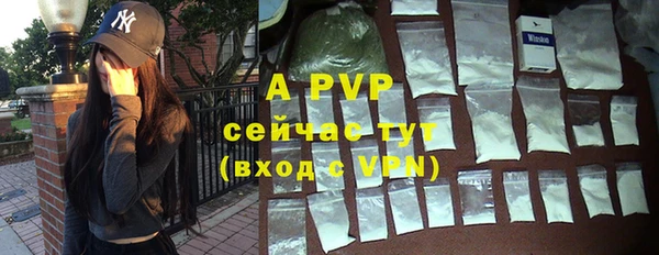 mdpv Богородицк